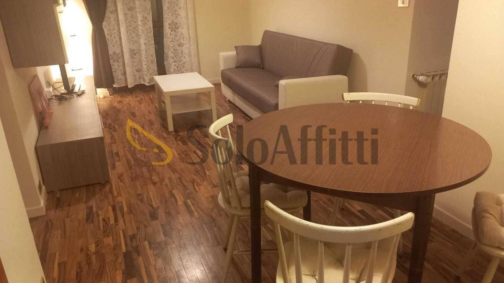 appartamento in affitto a Torino in zona Barriera di Milano