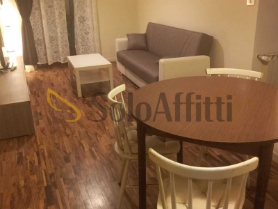 appartamento in affitto a Torino in zona Barriera di Milano