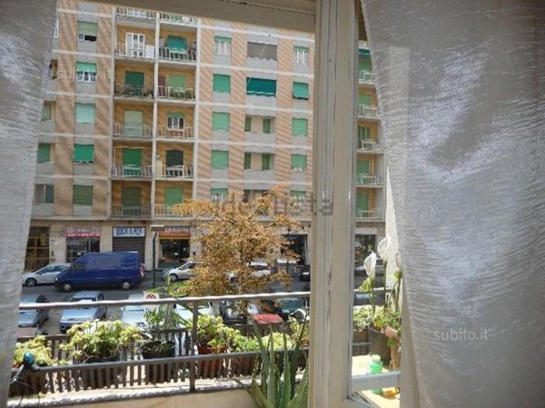 appartamento in affitto a Torino in zona Borgo San Paolo