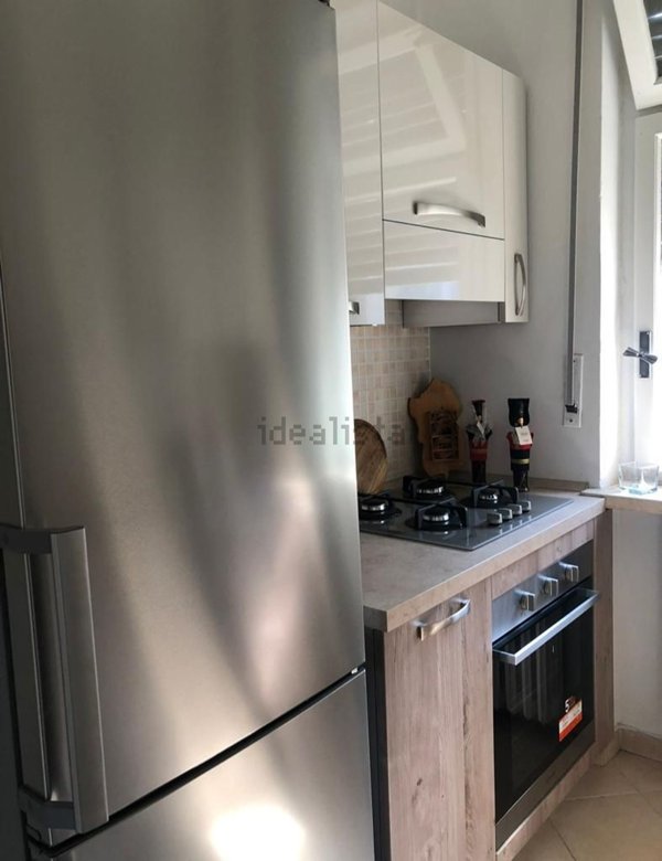 appartamento in affitto a Torino in zona Borgo San Paolo