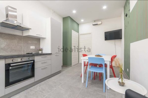 appartamento in affitto a Torino in zona Borgo San Paolo