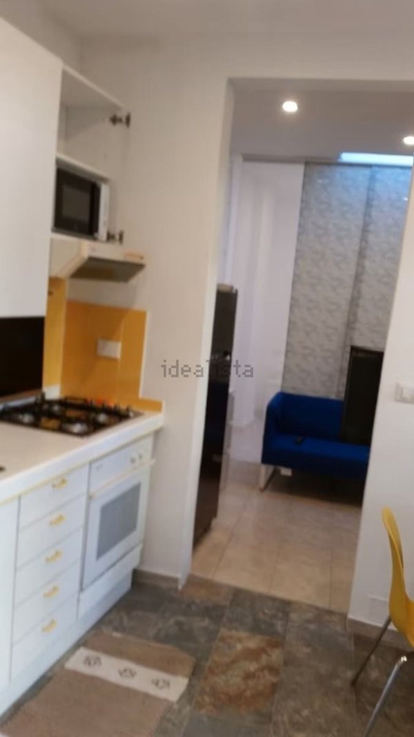 appartamento in affitto a Torino in zona Barriera di Milano