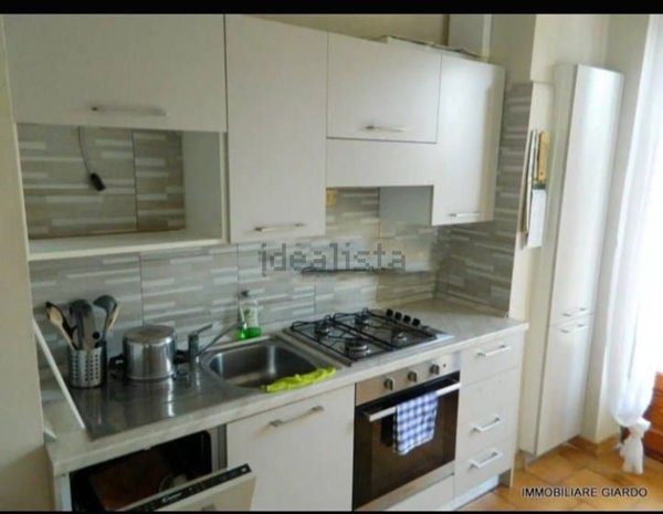 appartamento in affitto a Torino in zona Barriera di Milano