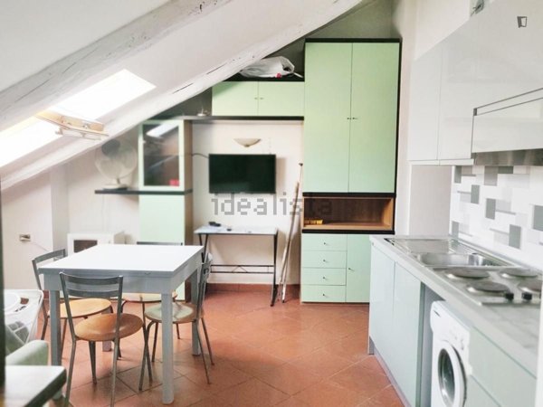 appartamento in affitto a Torino in zona Borgo San Paolo