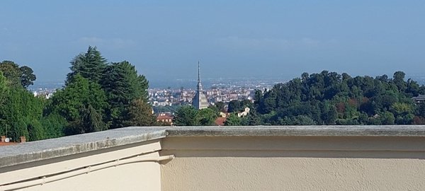 appartamento in affitto a Torino in zona Borgo Po