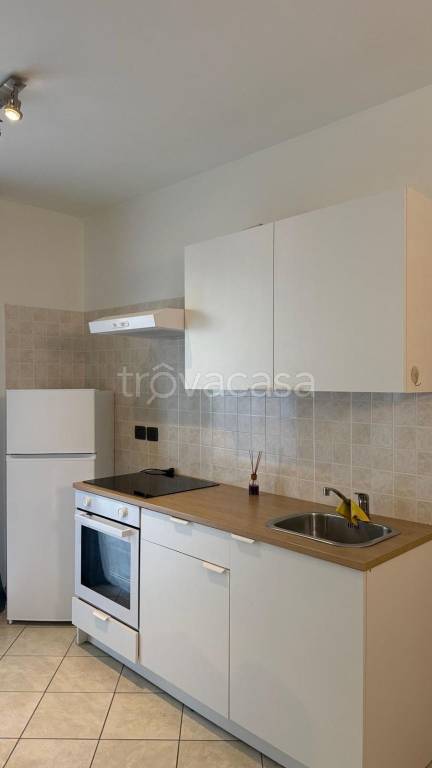 appartamento in affitto a Torino in zona Aurora