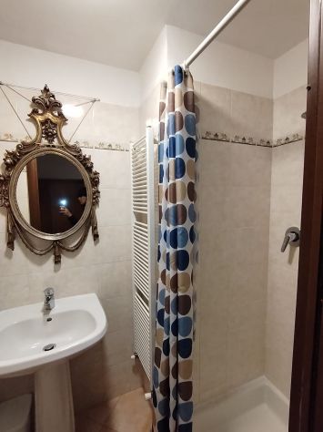 appartamento in affitto a Torino in zona Vanchiglia