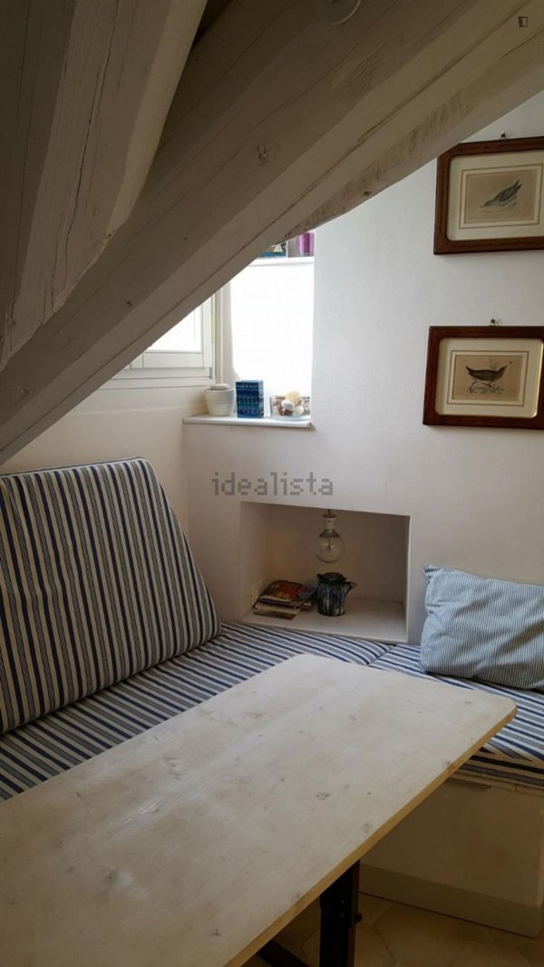 appartamento in affitto a Torino in zona Aurora