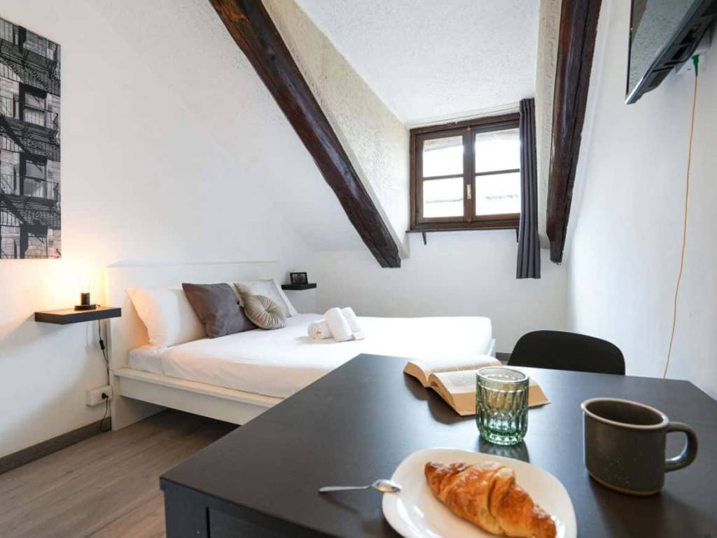 appartamento in affitto a Torino in zona Crocetta