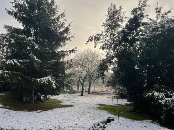 appartamento in affitto a Torino in zona Vanchiglia