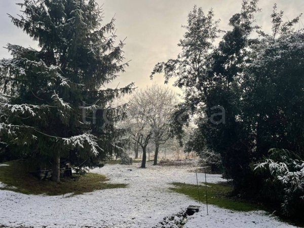 appartamento in affitto a Torino in zona Regio Parco