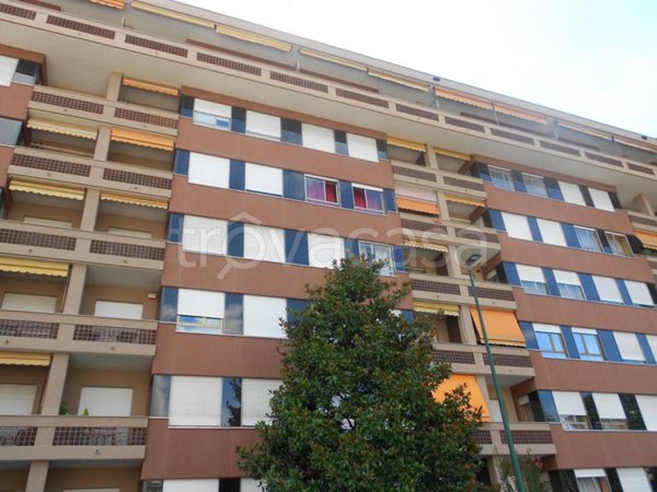 appartamento in affitto a Torino in zona Pozzo Strada