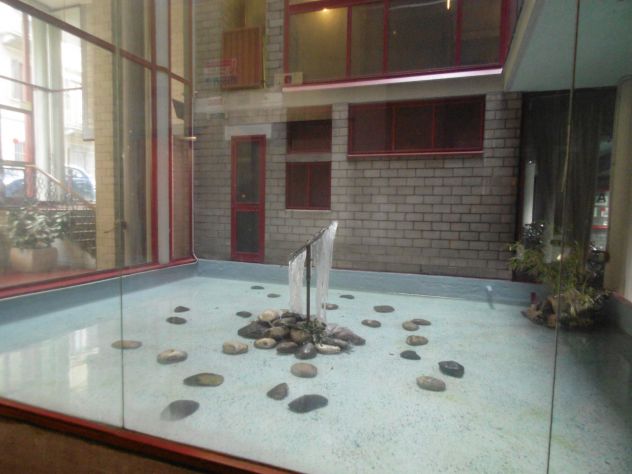 appartamento in affitto a Torino in zona San Salvario