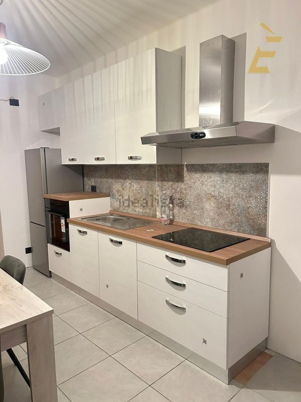 appartamento in affitto a Torino in zona Borgo San Paolo