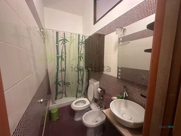 appartamento in affitto a Torino in zona Millefonti