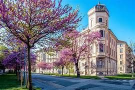 monolocale in affitto a Torino in zona Crocetta