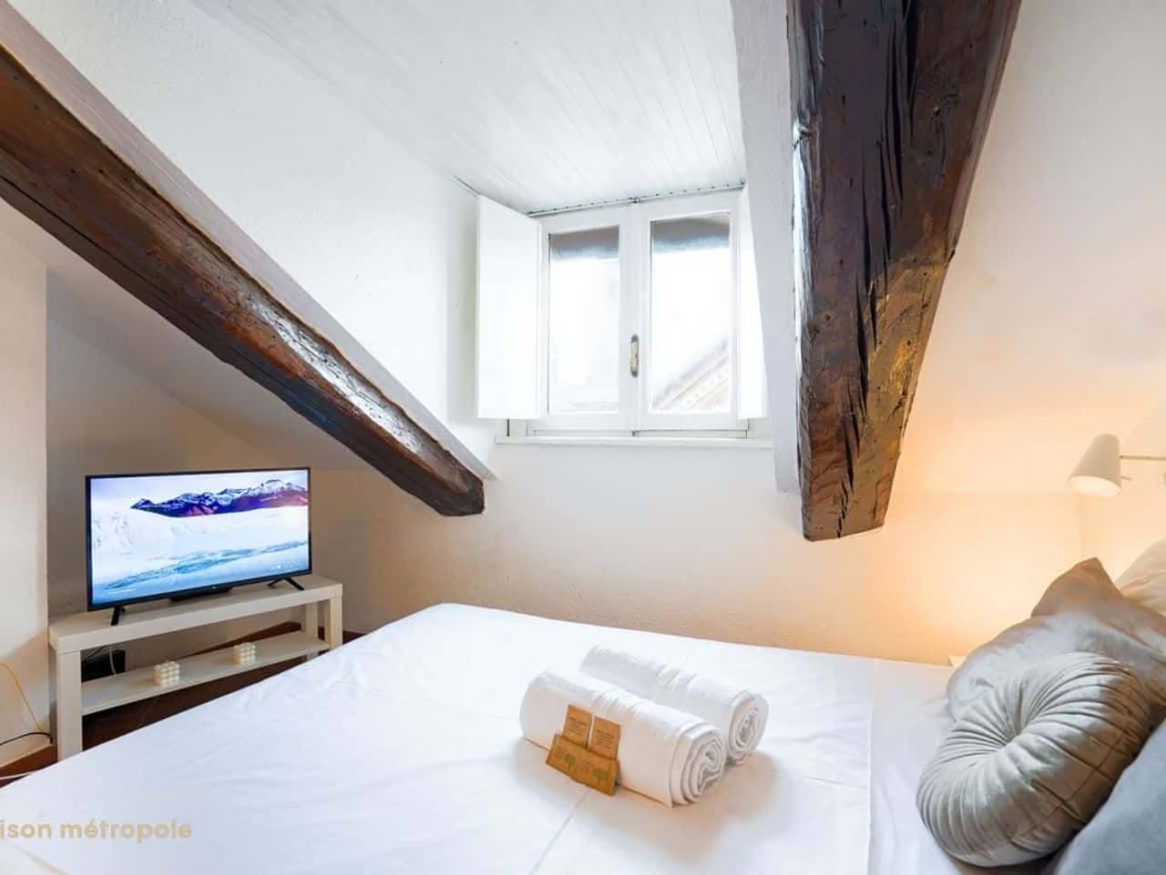 appartamento in affitto a Torino in zona Crocetta