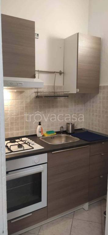 appartamento in affitto a Torino in zona Crocetta