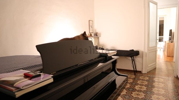 appartamento in affitto a Torino in zona Crocetta