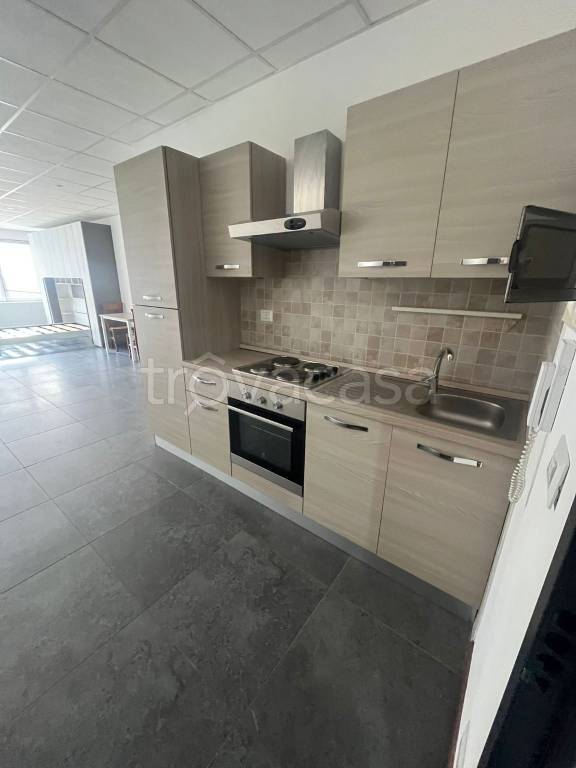 appartamento in affitto a Torino in zona Regio Parco