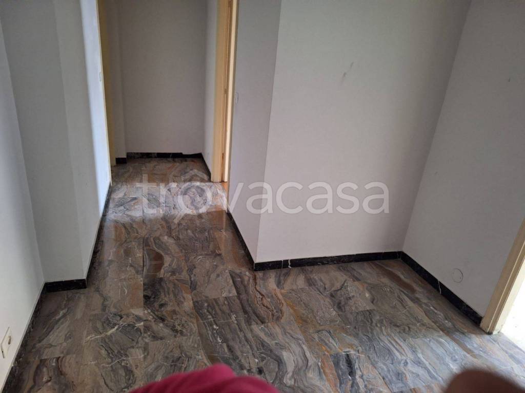 appartamento in affitto a Torino in zona Barriera di Milano