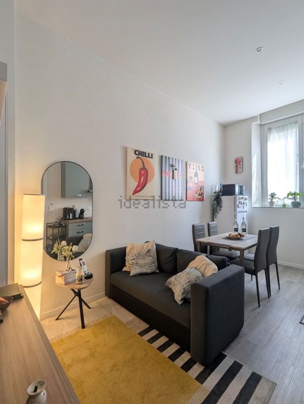 appartamento in affitto a Torino in zona Millefonti