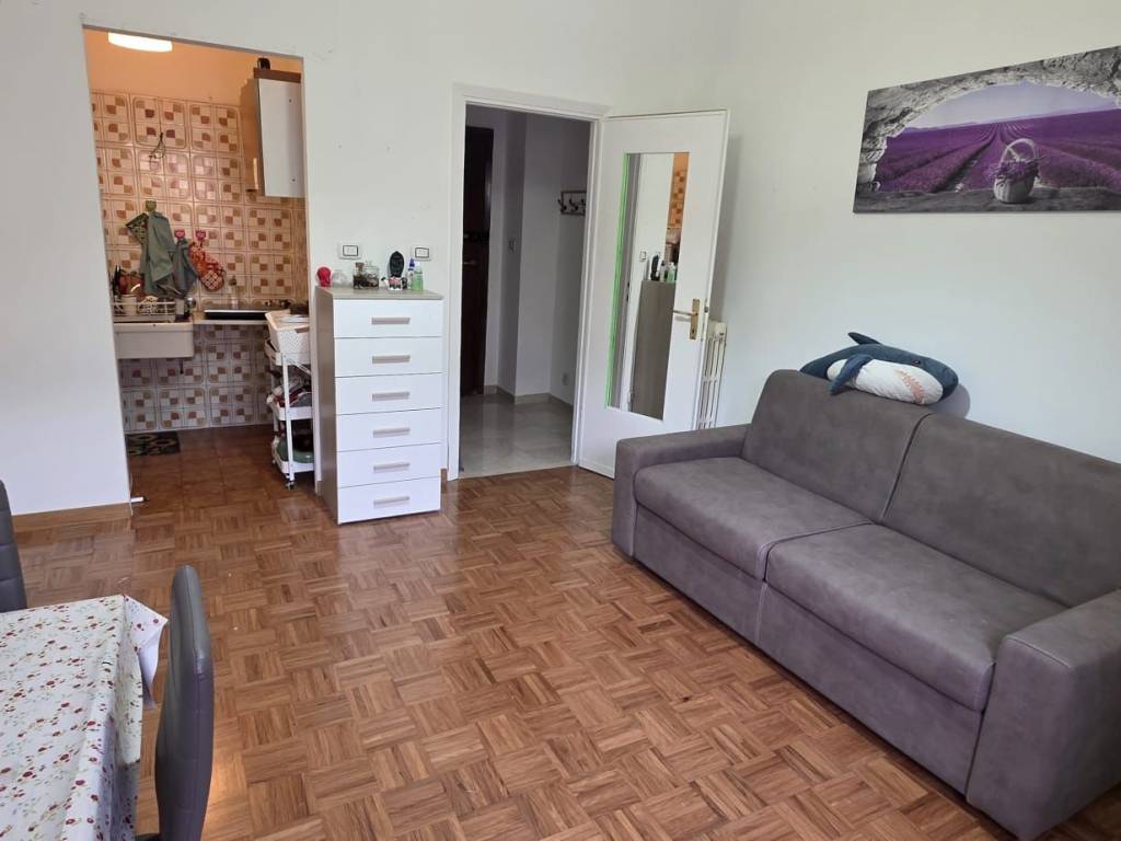 appartamento in affitto a Torino in zona Borgo San Paolo