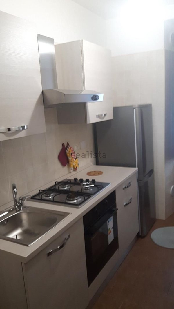 appartamento in affitto a Torino in zona Borgo San Paolo