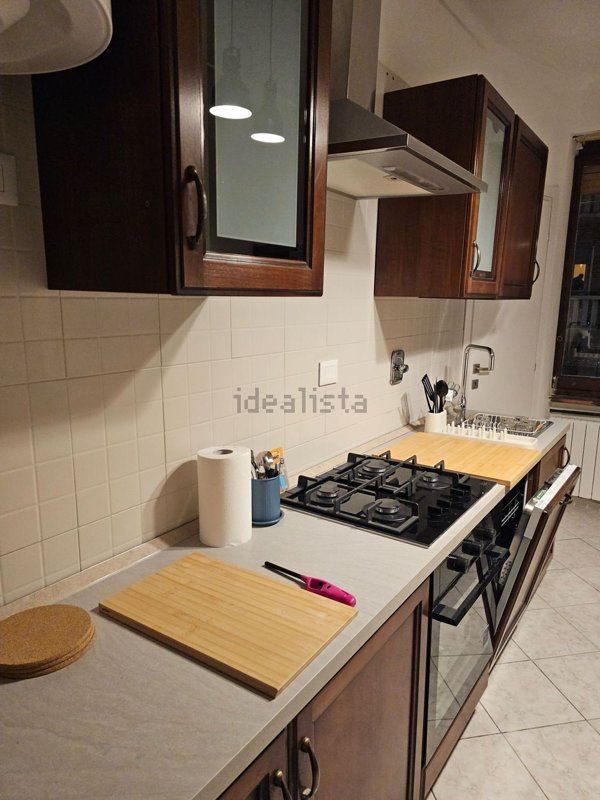 appartamento in affitto a Torino in zona Santa Rita