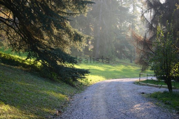 appartamento in affitto a Torino in zona Precollina