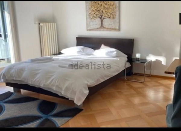 appartamento in affitto a Torino in zona Crocetta