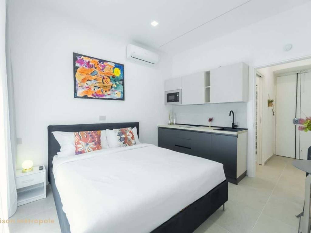 appartamento in affitto a Torino in zona Borgo San Paolo