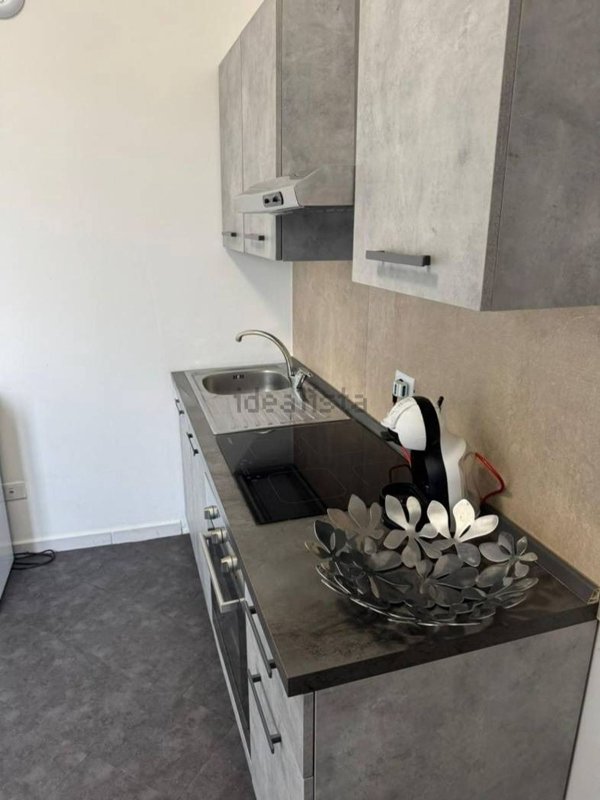 appartamento in affitto a Torino in zona Barriera di Milano