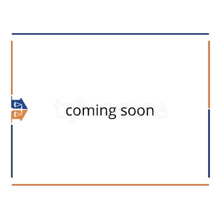 negozio in affitto a Torino in zona Madonna di Campagna