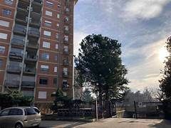 appartamento in affitto a Torino in zona Vallette
