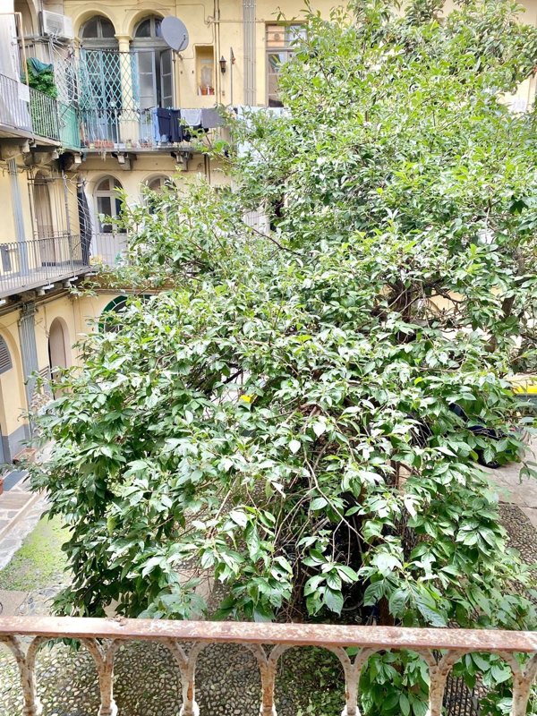 appartamento in affitto a Torino in zona Centro Storico
