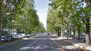 appartamento in affitto a Torino in zona Lingotto