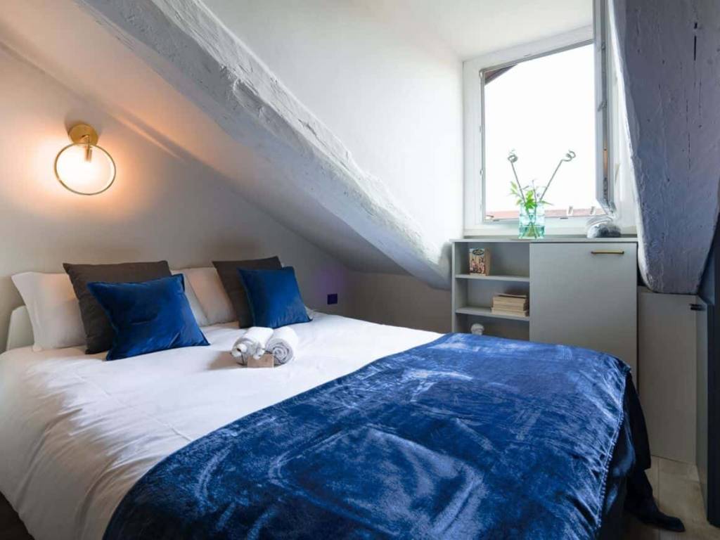 appartamento in affitto a Torino in zona San Salvario