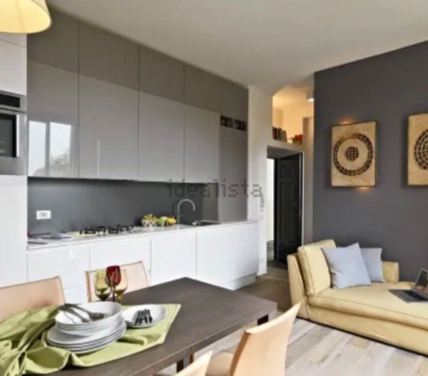 appartamento in affitto a Torino in zona Borgo San Paolo