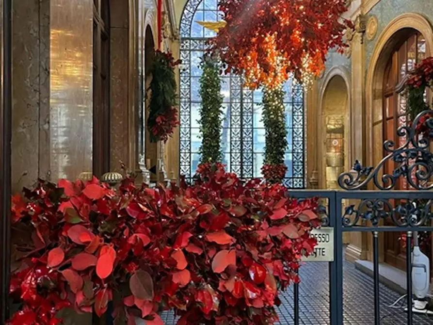 appartamento in affitto a Torino