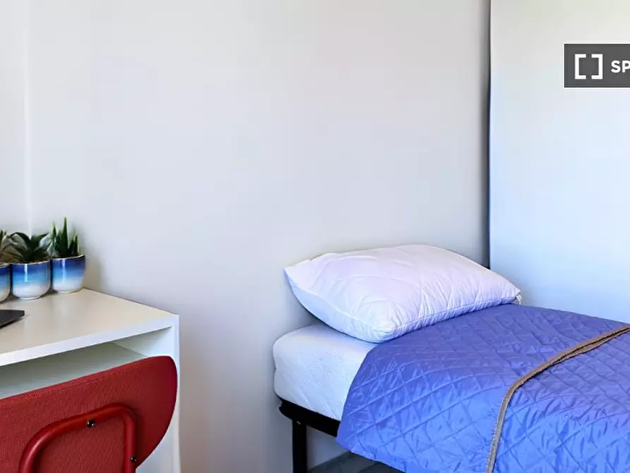 appartamento in affitto a Torino in zona Barriera di Milano