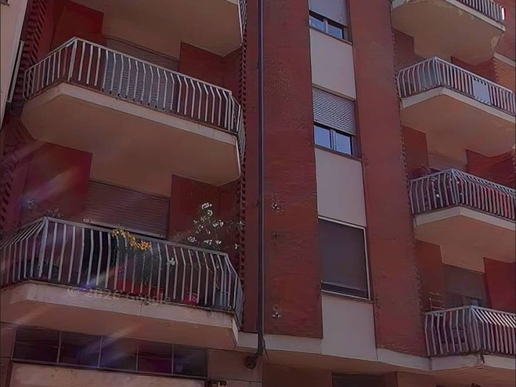 appartamento in affitto a Torino in zona Barriera di Milano