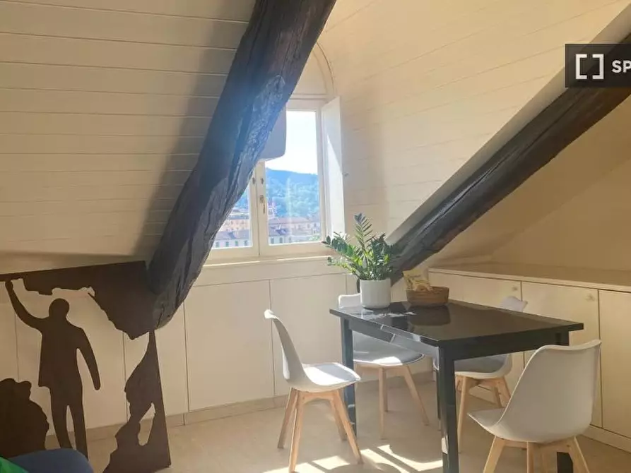 appartamento in affitto a Torino in zona Crocetta