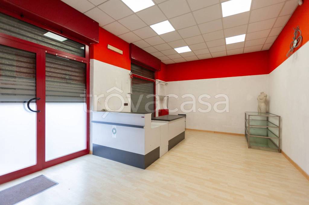 appartamento in affitto a Torino in zona Falchera