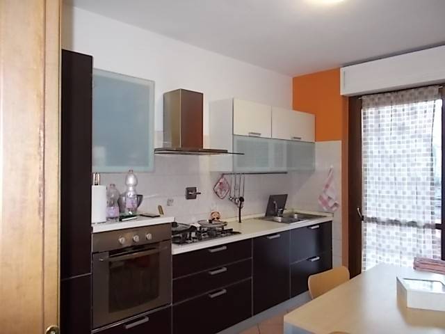 appartamento in affitto a Torino in zona Barriera di Milano