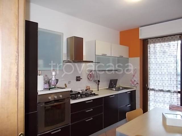 appartamento in affitto a Torino in zona Aurora