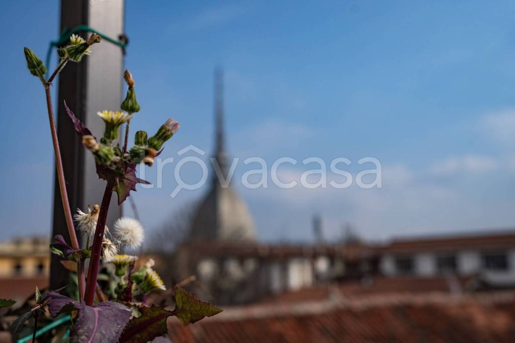 appartamento in affitto a Torino in zona Superga