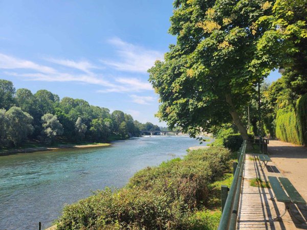 appartamento in affitto a Torino in zona Vanchiglia