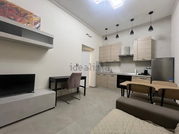 appartamento in affitto a Torino in zona Borgo San Paolo