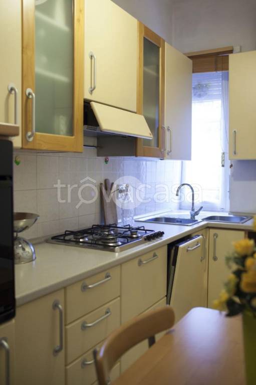 appartamento in affitto a Torino in zona Borgo San Paolo